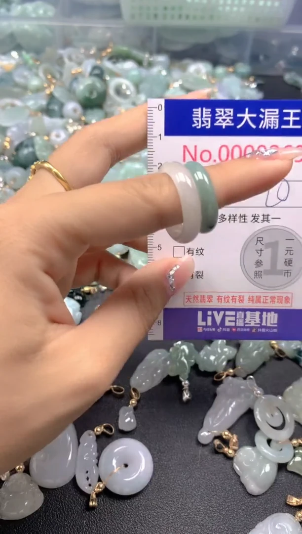颈饰未镶嵌翡翠8269