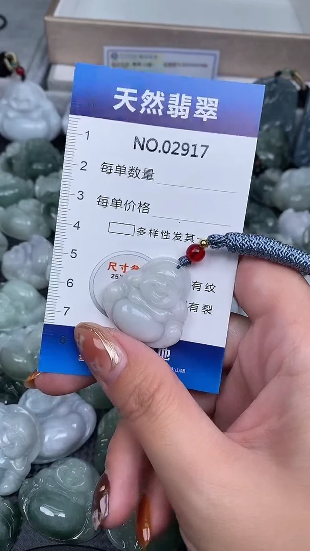 颈饰未镶嵌翡翠纯天然A货翡翠2917