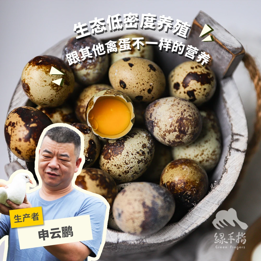 生态鹌鹑蛋   500g/1KG绿手指份额农园