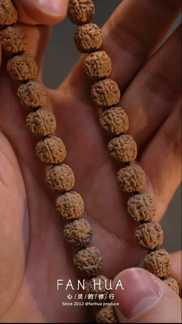 手串金刚菩提原籽一代龙单圈 9mm