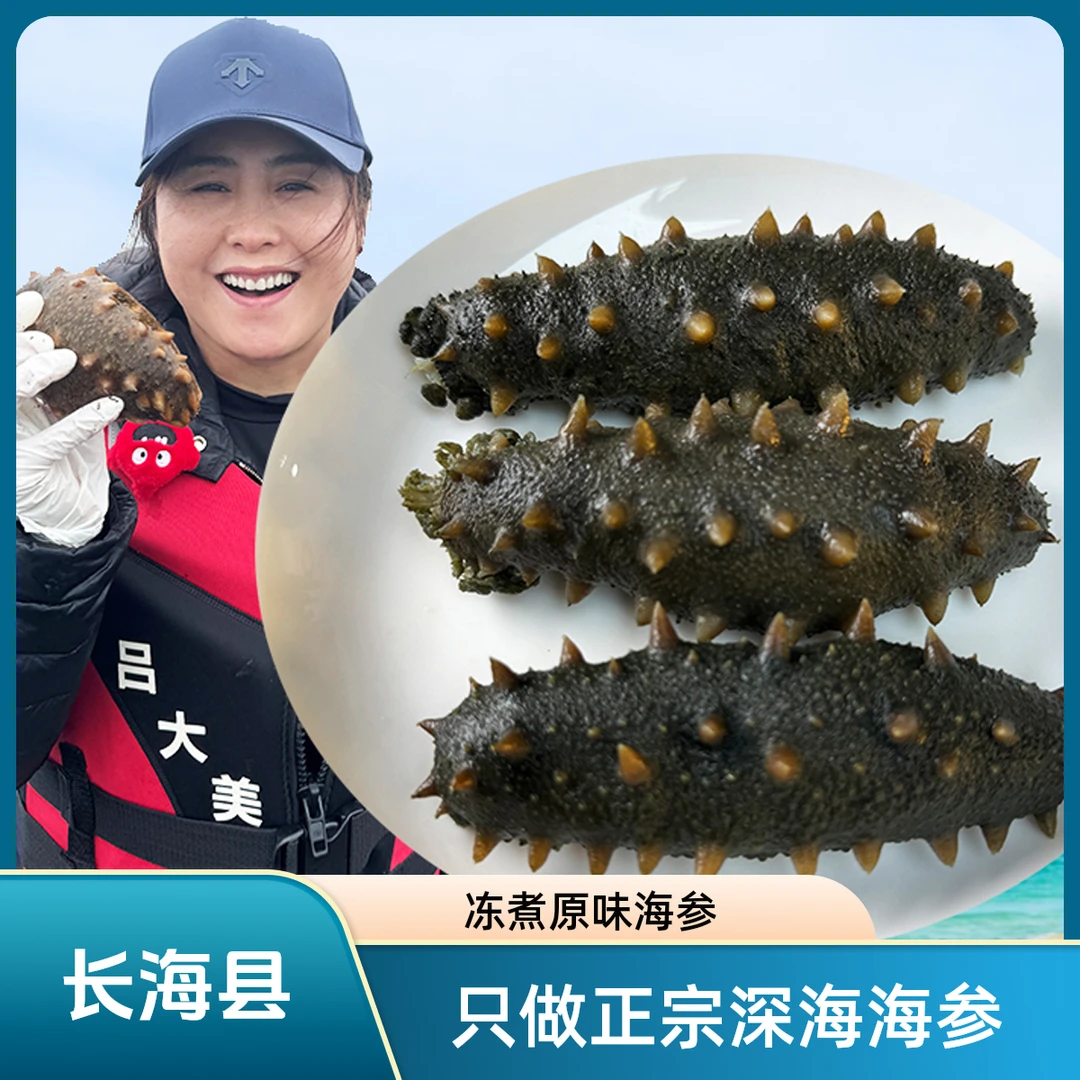 【小长山活海参】八分熟发货加工成冻煮海参25头-35头