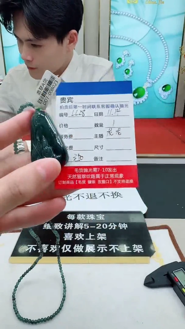 未镶嵌定制翡翠LL28翡翠吊坠带珠链-多样性发其一