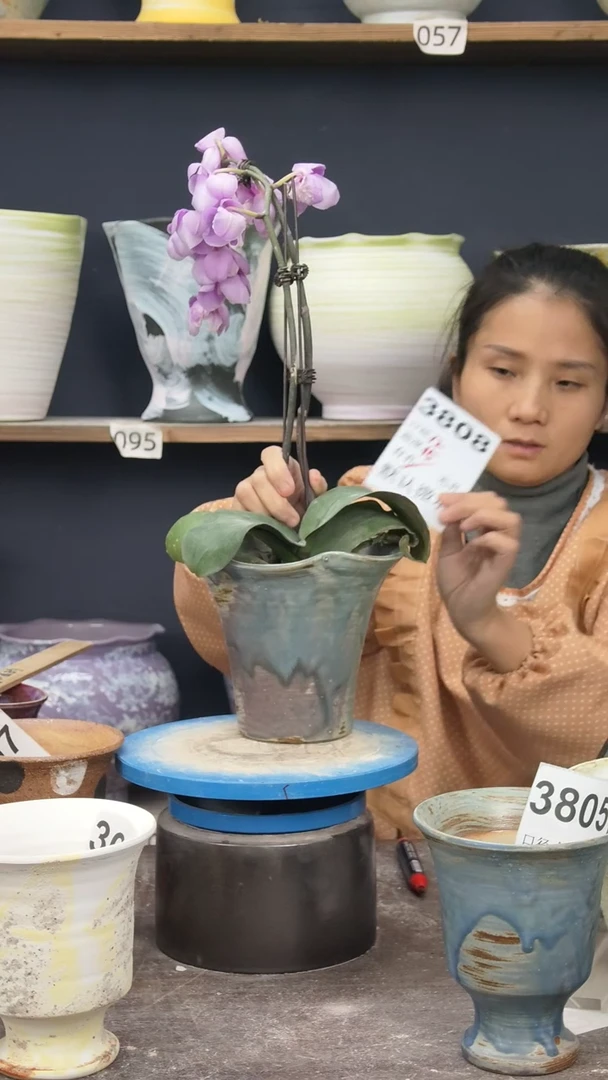 景德镇花盆默认微瑕3808