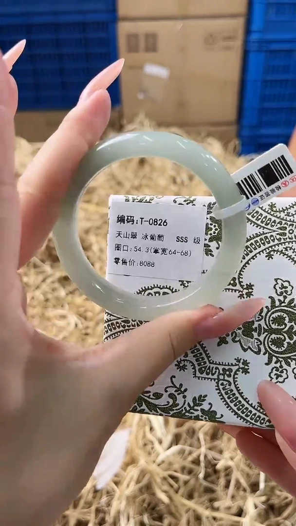 未镶嵌手镯石英质玉T-0826