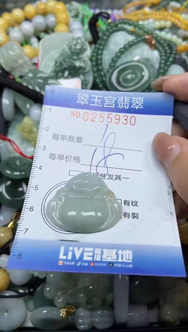 颈饰未镶嵌翡翠闪购C0255930
