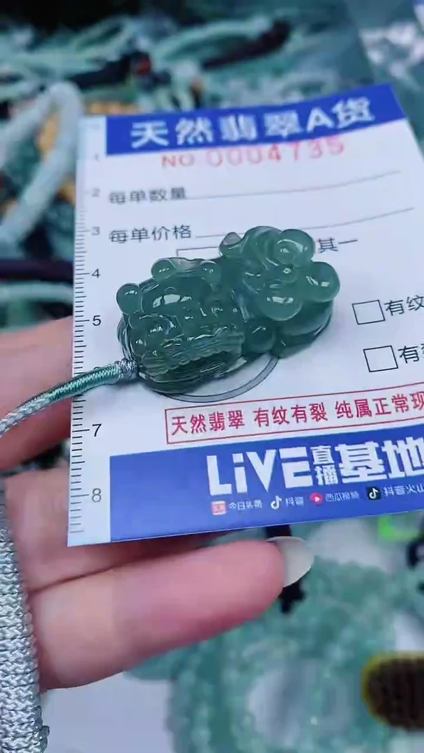 翡翠未镶嵌颈饰00004735