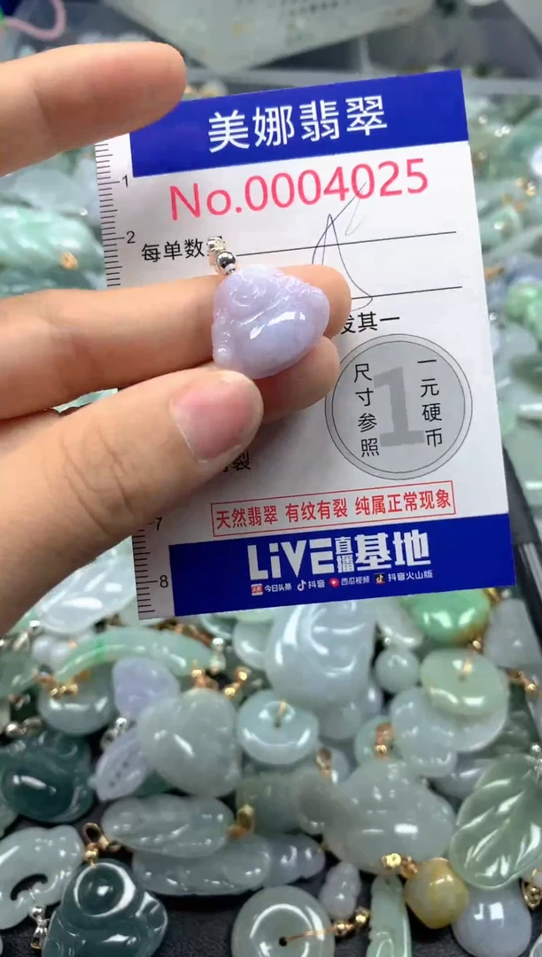 颈饰未镶嵌翡翠4025