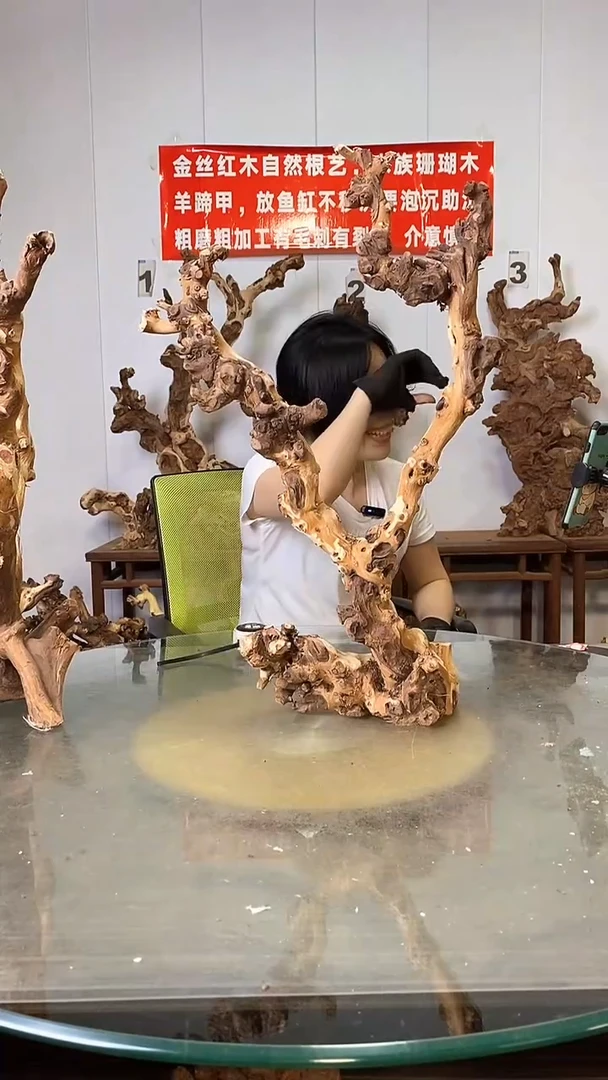 香榧木金丝红木 羊蹄甲