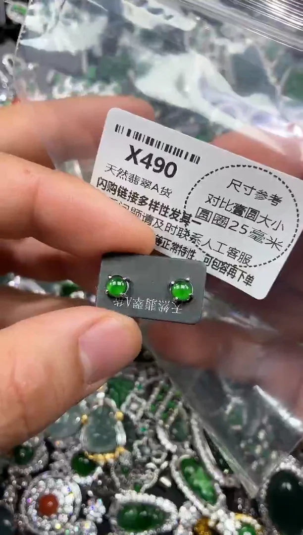 颈饰未镶嵌翡翠X490耳钉