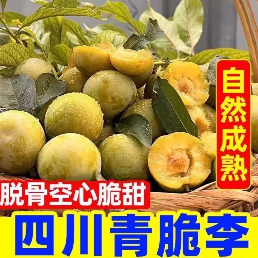 【正宗清脆脱骨李】脆李脱骨李新鲜应季水果汁多肉厚