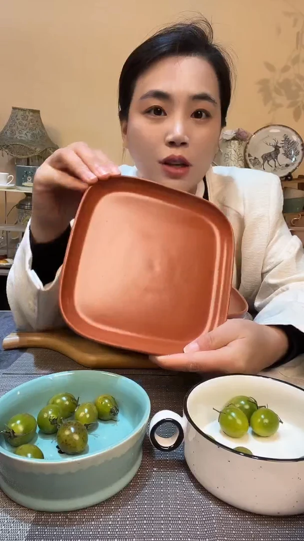 瓷片7英寸方盘 微瑕介意勿拍