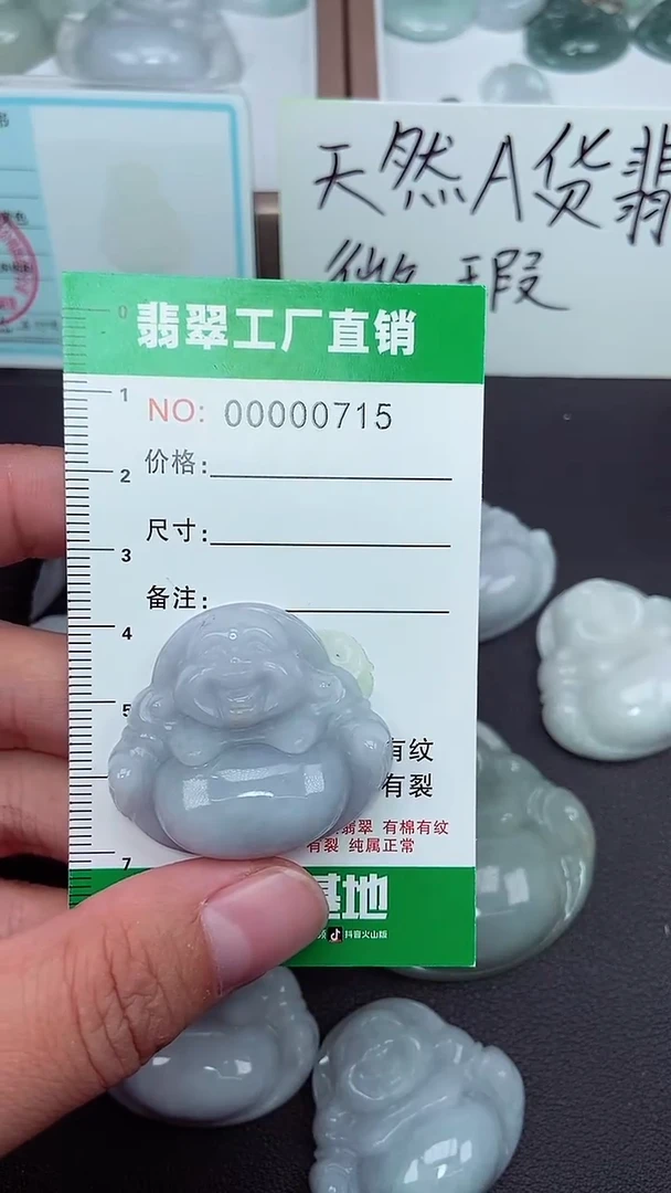 颈饰未镶嵌翡翠缅甸天然翡翠微微瑕0715