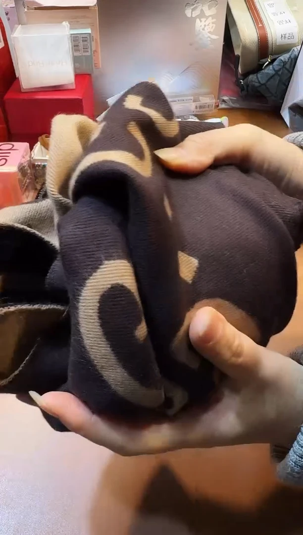 瓷片SP1266阿海专属，全场包邮