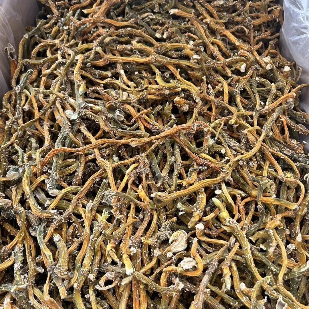 当季新货自然玉竹条特色