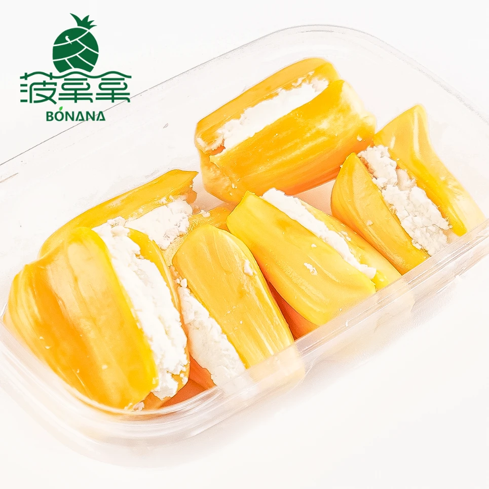 果切同城送【美味干噎酸奶果切】菠萝蜜夹干噎酸奶 200g