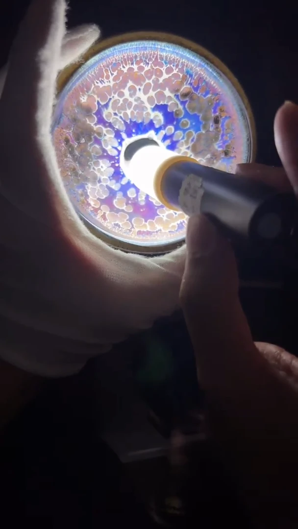 茶盏方肖鸣茶盏12