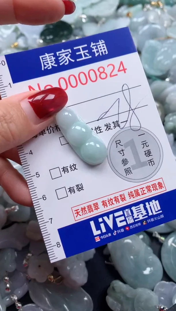 颈饰未镶嵌翡翠824