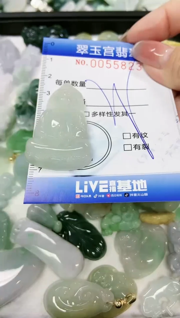 【闪购商品】翡翠颈饰未镶嵌闪购0055823