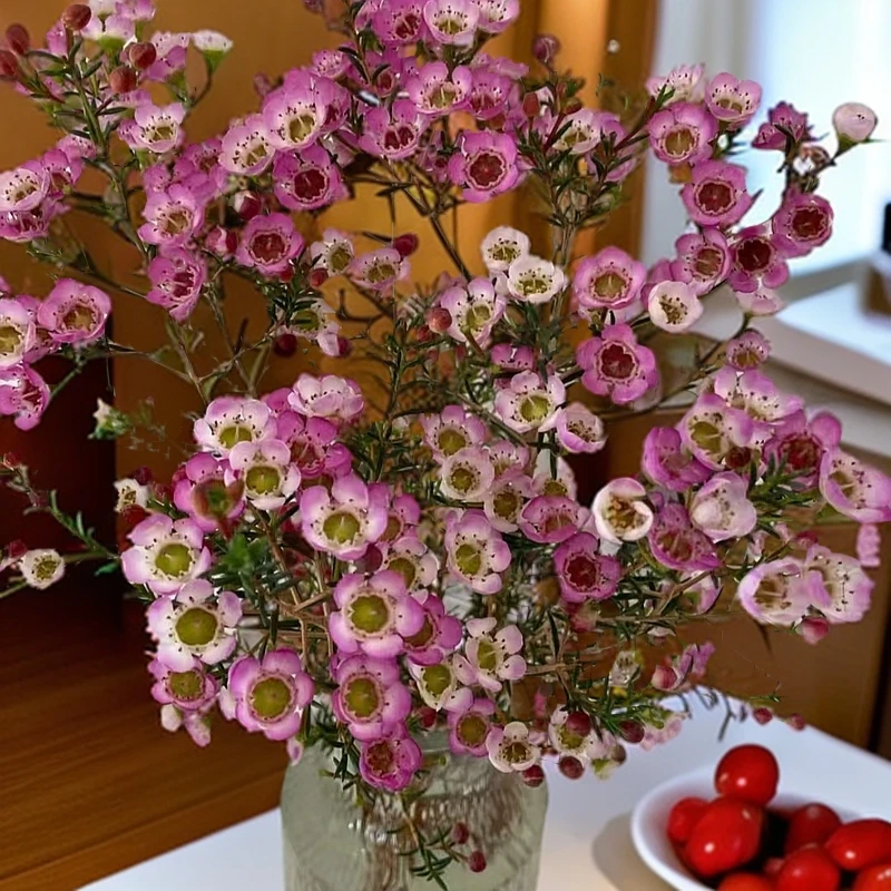 家居鲜花粉色腊梅1扎 不含花瓶 年宵花