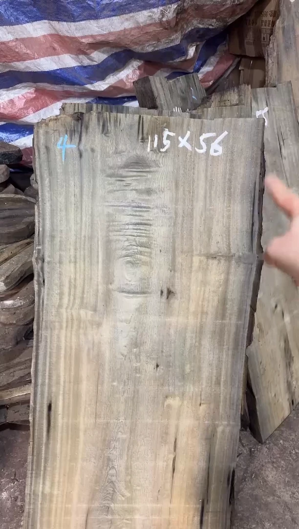 金丝楠小叶桢楠44