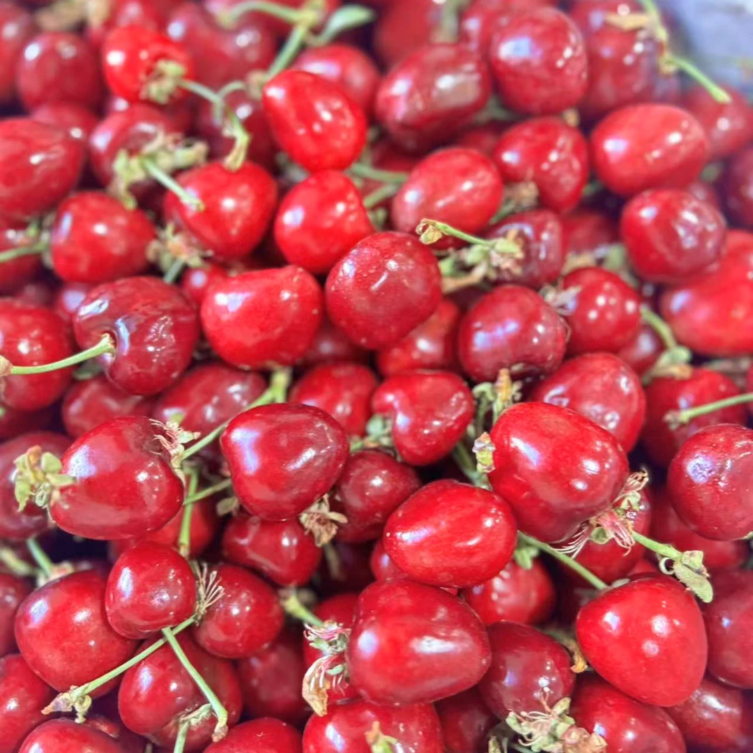 【散装】沙王3J-5J樱桃散装1斤左右其他品种