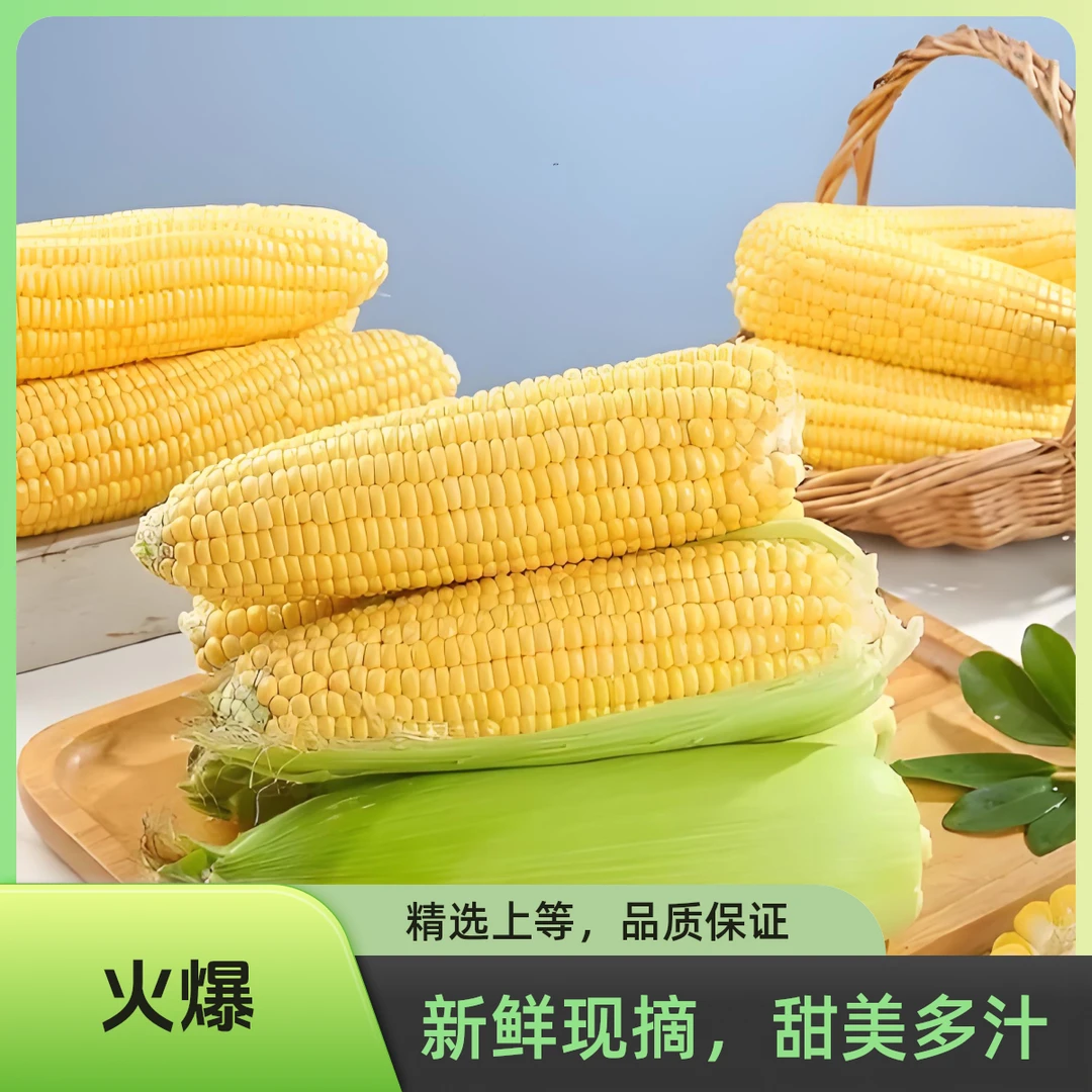 【黄金水果甜玉米】水果玉米新鲜爆浆甜玉米脆甜生吃玉米棒包谷带皮