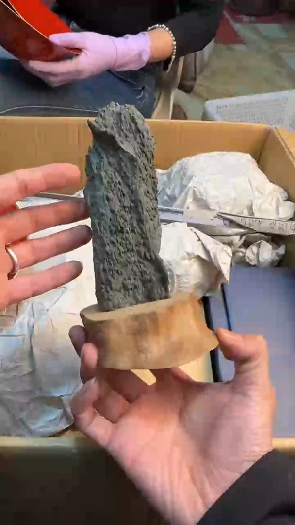 【闪购商品】茶盏8888888888    288