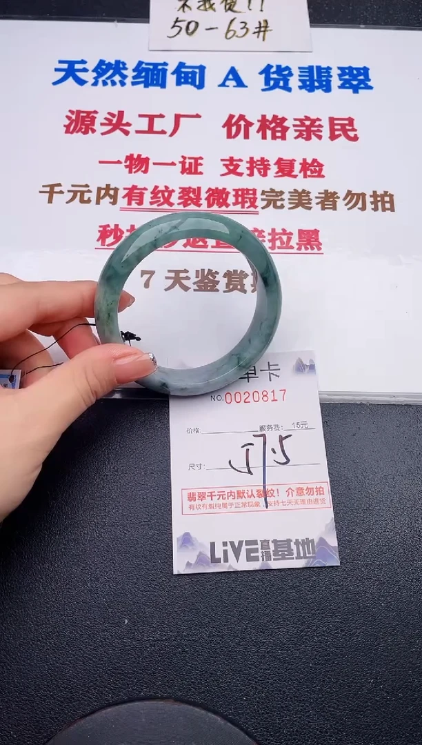 未镶嵌手镯翡翠17