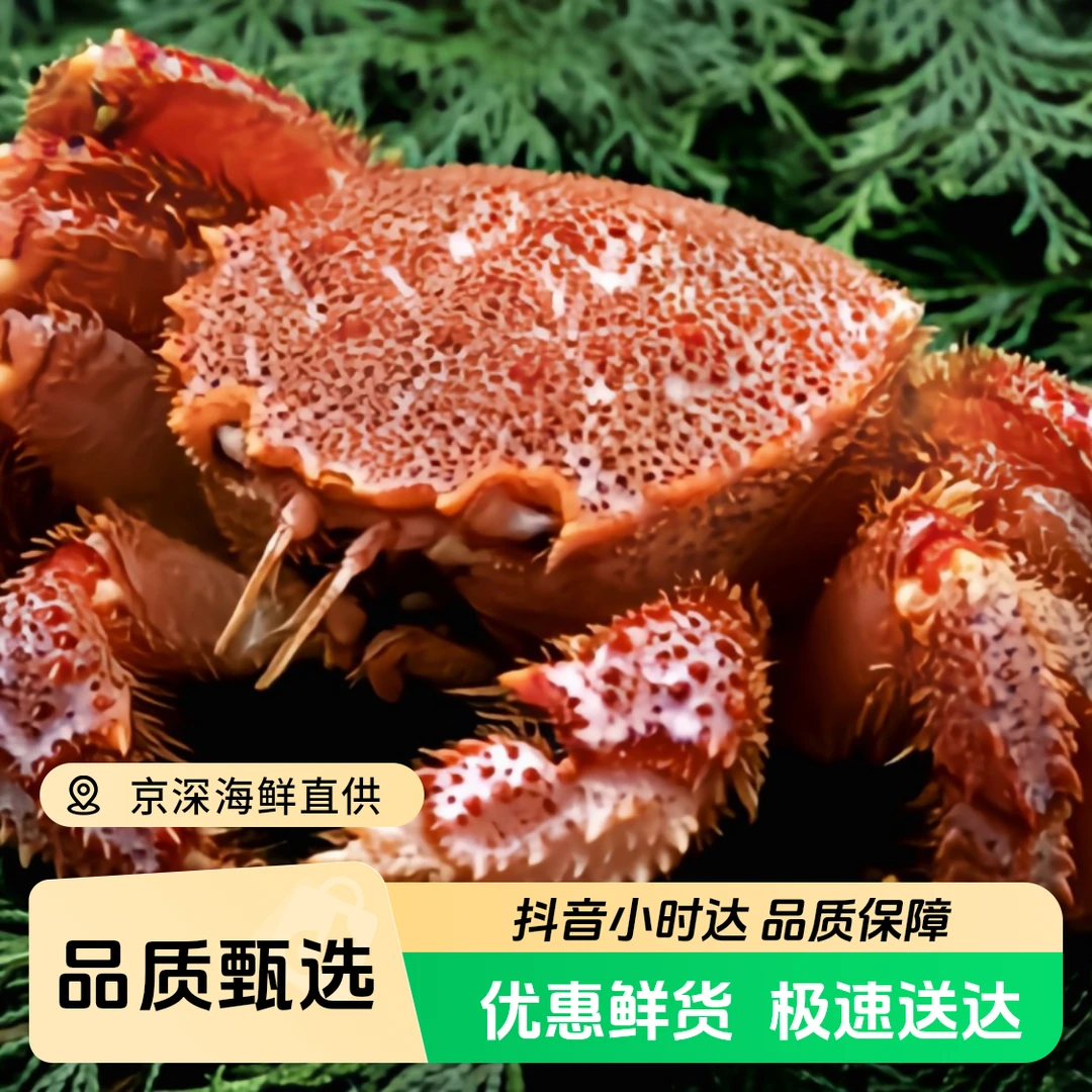鲜活红毛蟹 进口生猛海鲜 深海红毛蟹 (多规格可选)