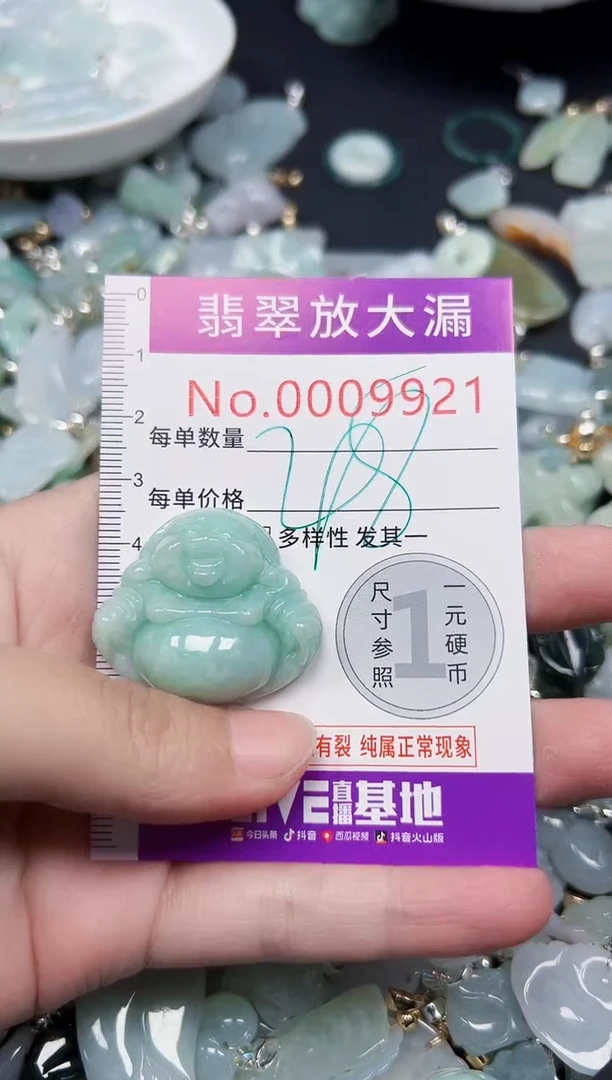颈饰未镶嵌翡翠9921