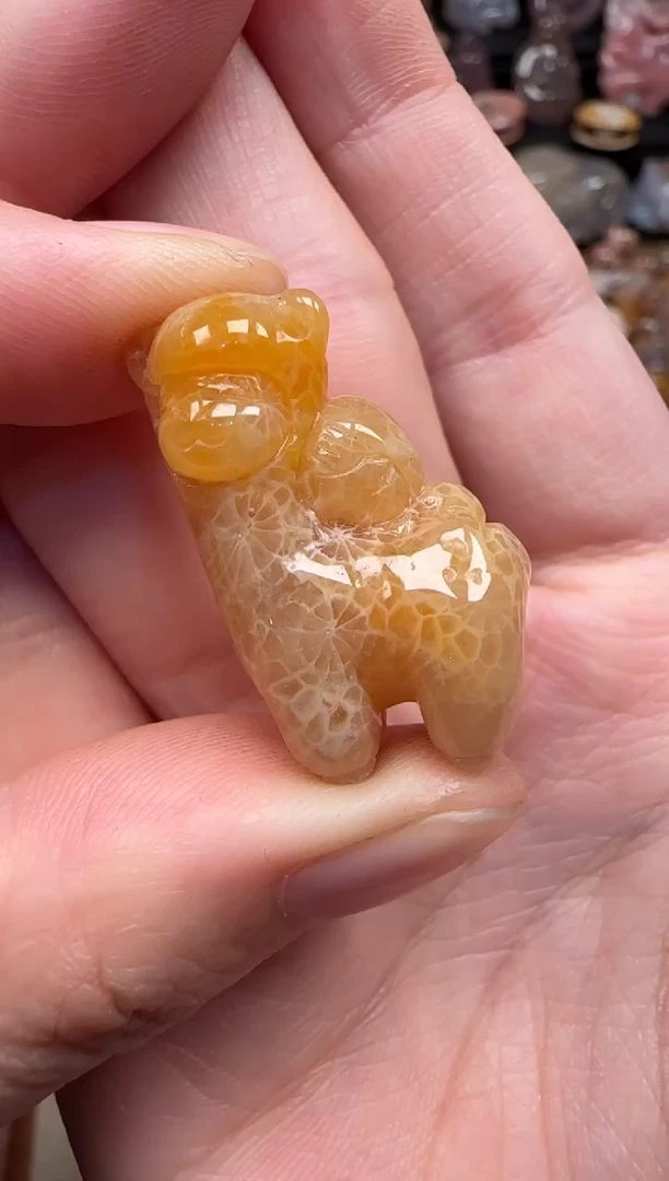 颈饰未镶嵌硅化珊瑚（珊瑚玉）758