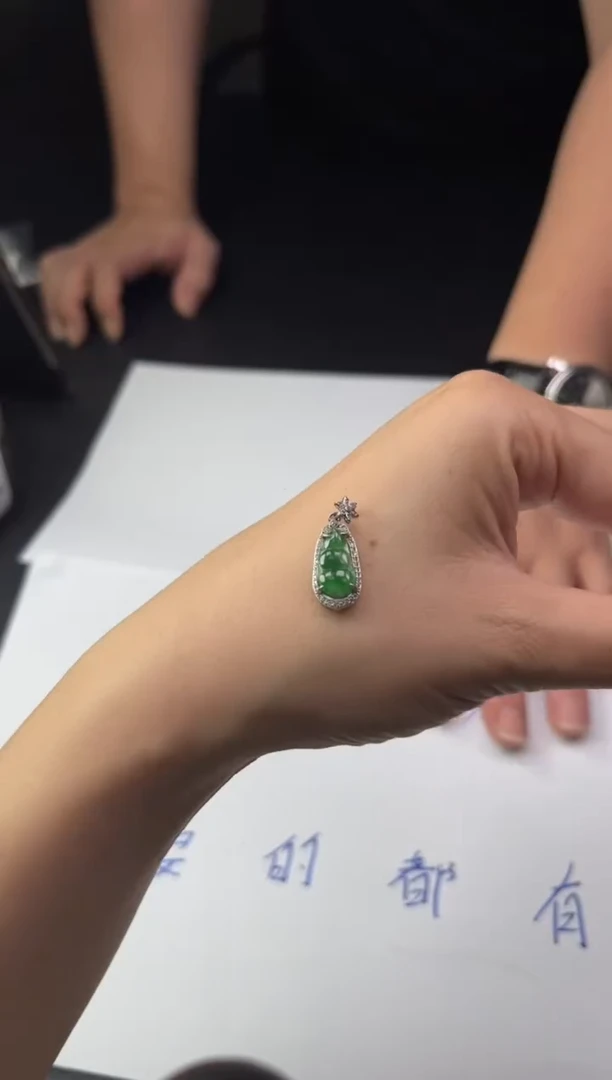 翡翠未镶嵌颈饰DY20250628110多样性发一件