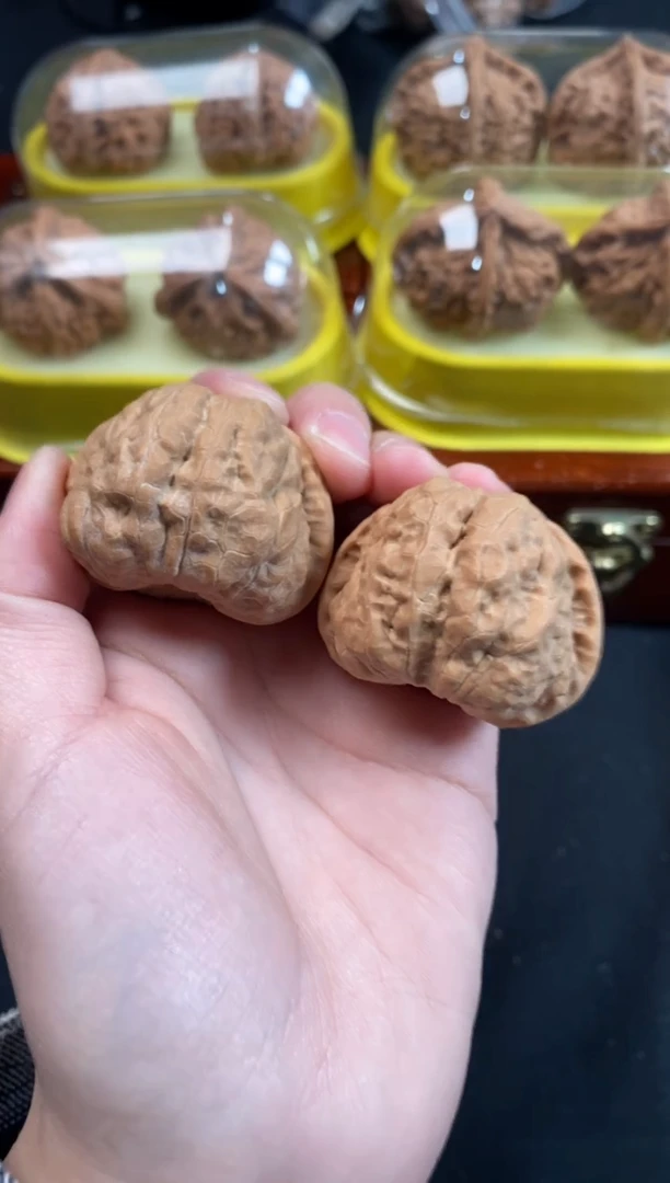 核桃蛤蟆头40尺Q749
