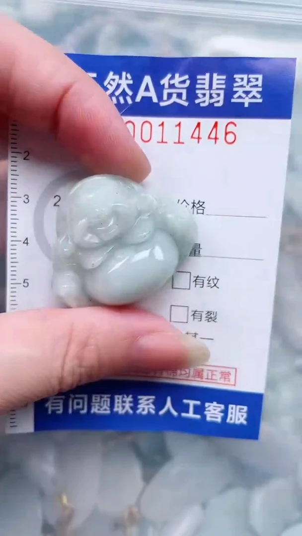 翡翠未镶嵌吊坠(不含链)1
