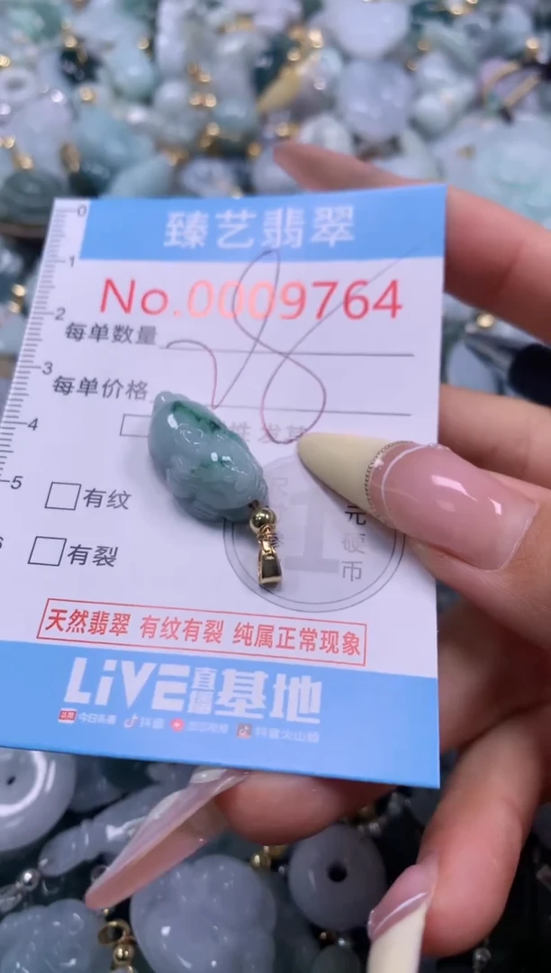 翡翠未镶嵌颈饰含绳0009764
