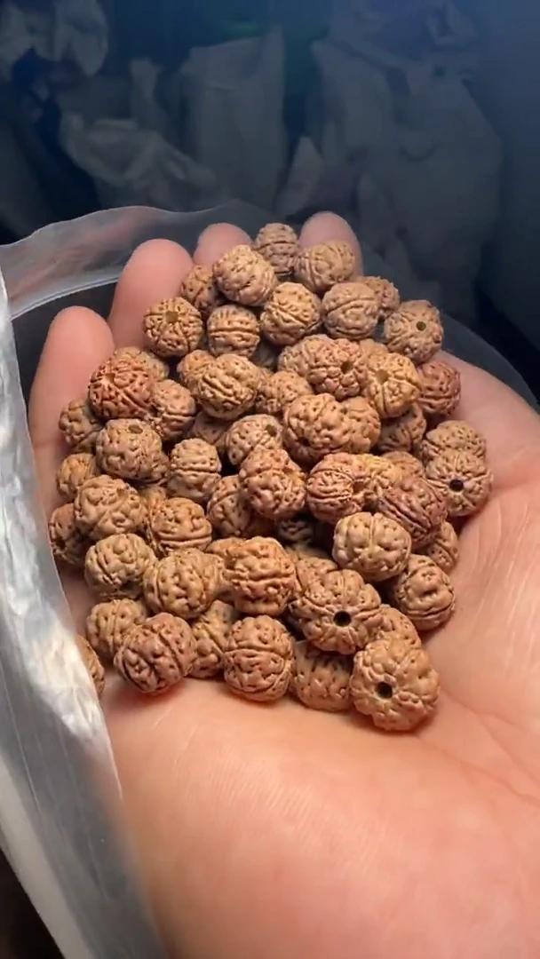 金刚菩提手串非全品老树王散籽9-10mm一份一百颗