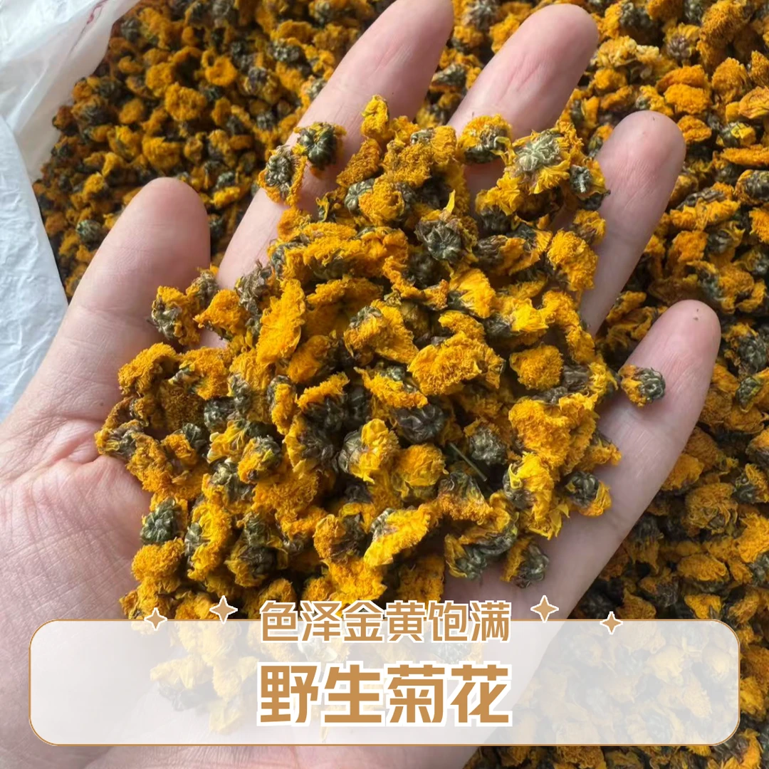 大巴山农家野菊花正宗小黄菊花自然晒干无硫新货小花包