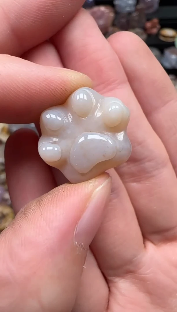 颈饰未镶嵌硅化珊瑚（珊瑚玉）519