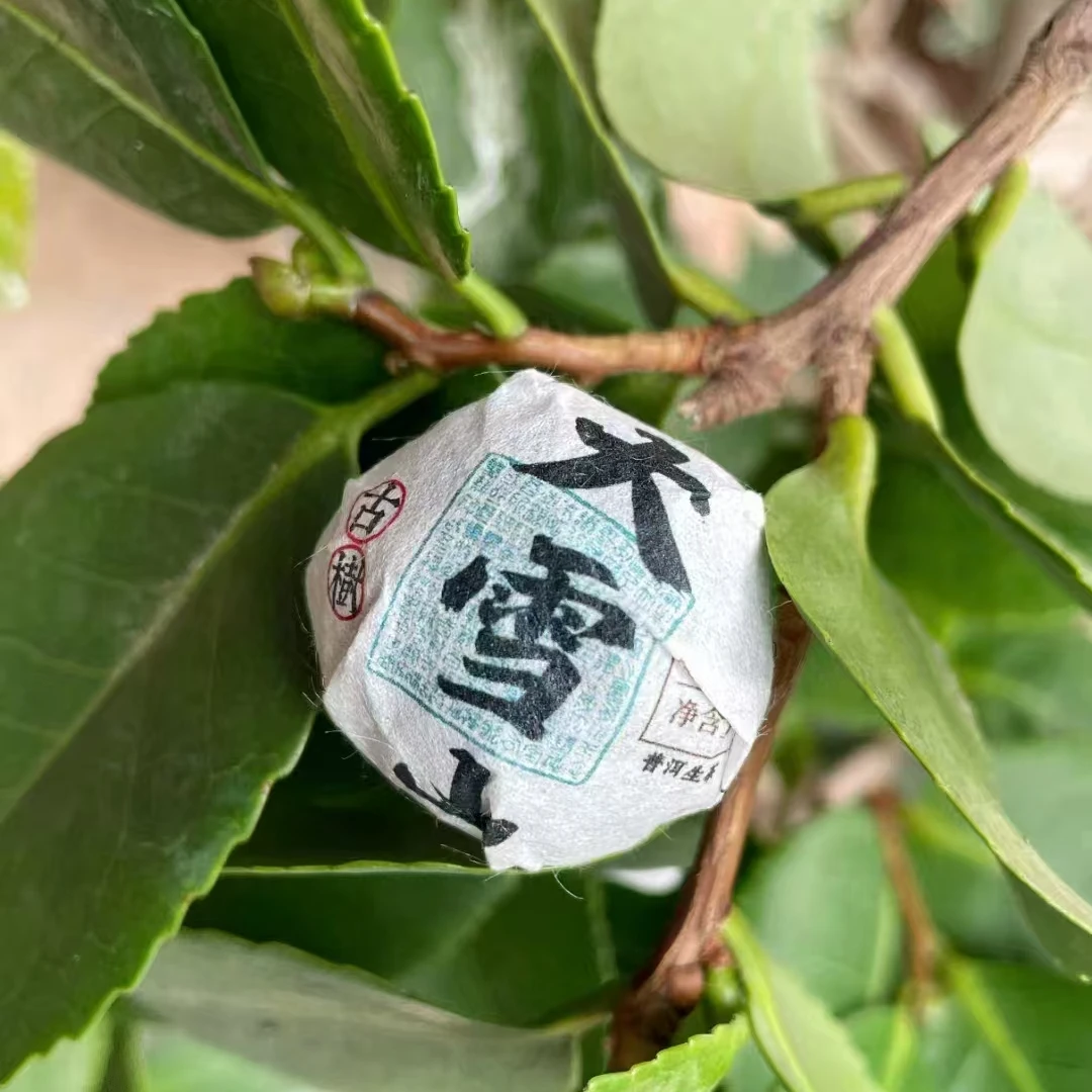 2018大雪山龙珠，满口的木质香加幽幽的兰花香，茶汤甘甜爽口！