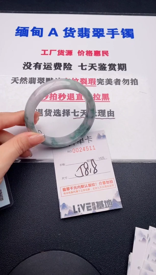 未镶嵌手镯翡翠11