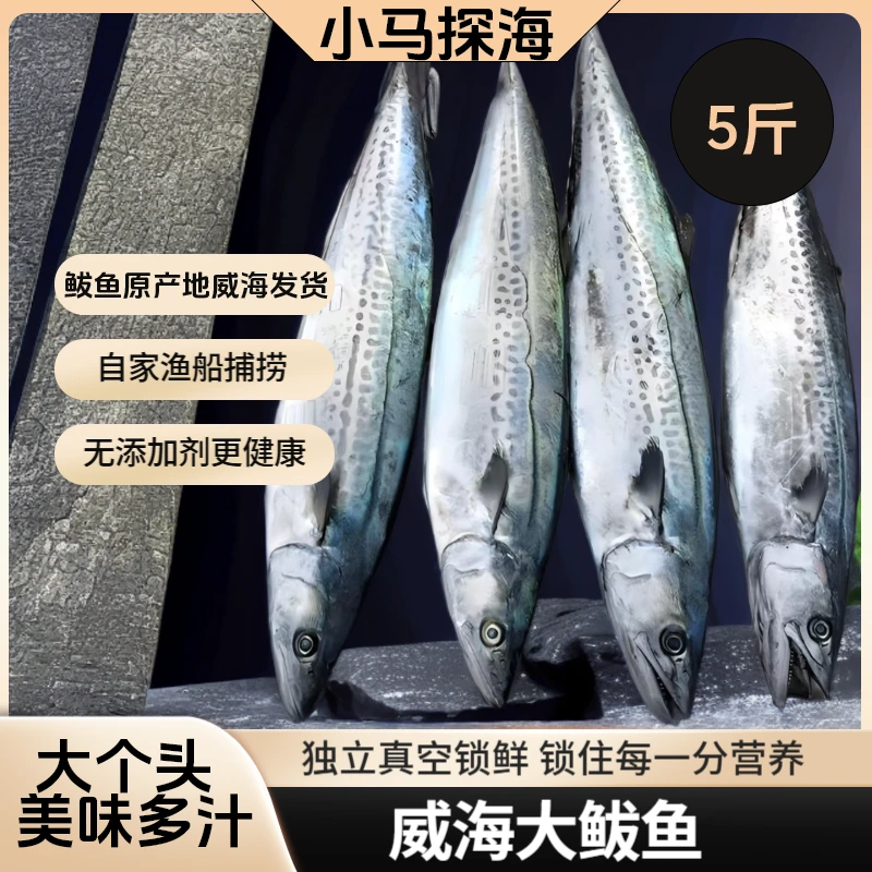 威海大号新鲜鲅鱼马鲛鱼深海捕捞肉质鲜嫩鲅鱼片整条大鲅鱼