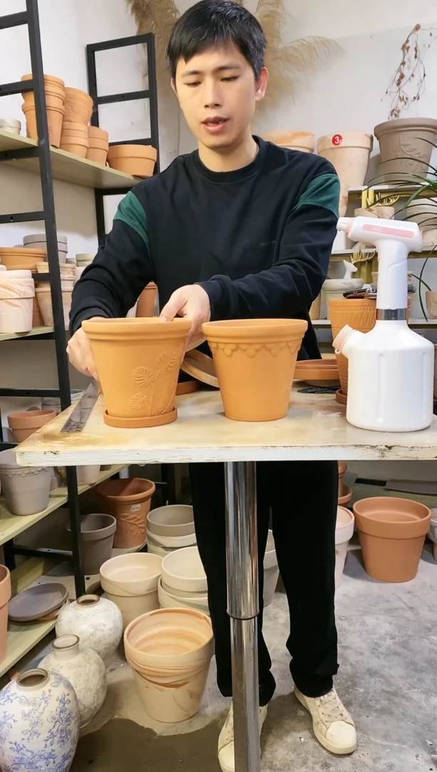 【闪购商品】陶16*15红陶巴洛克+龟背竹 2盆2托