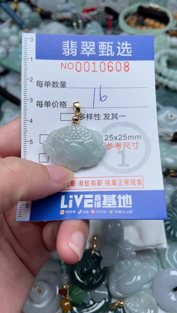 颈饰未镶嵌翡翠10608