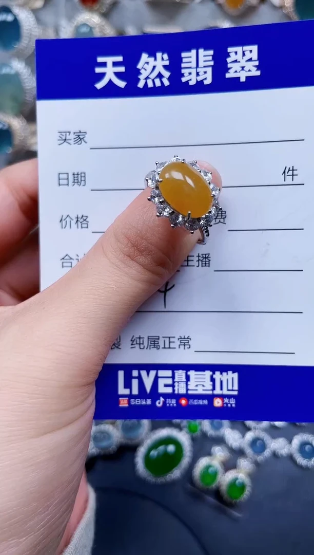 银S925镶嵌翡翠耳饰664