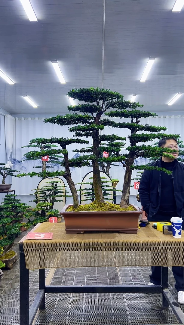 无花朵速**行00000000000000000000