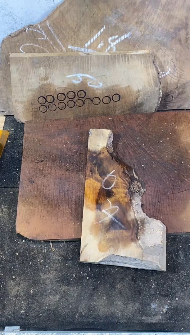 文*金丝楠小叶桢楠1