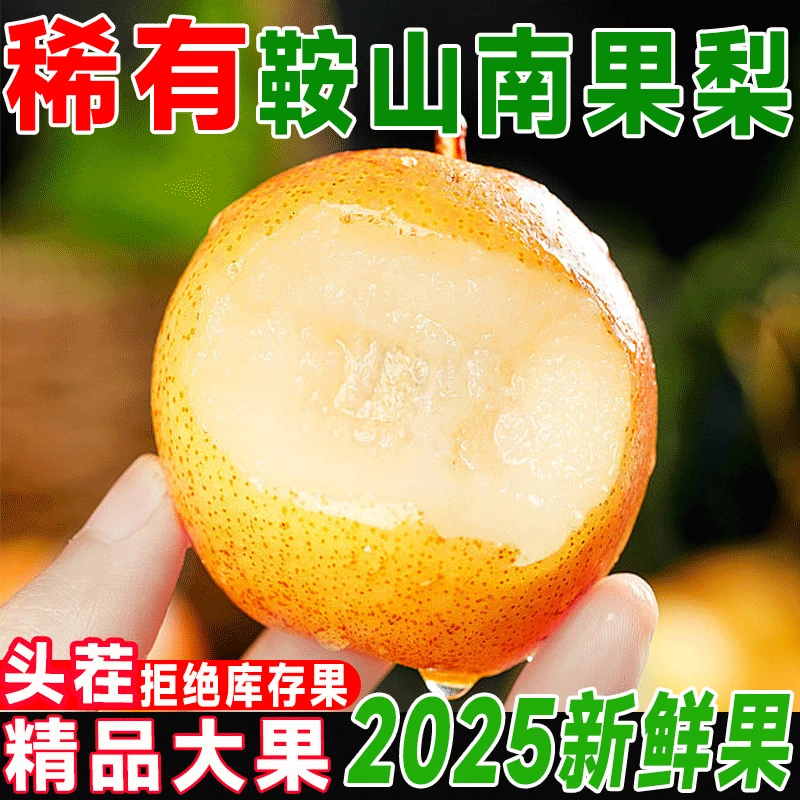 正宗辽宁鞍山南果梨皮薄香甜多汁核小当季新鲜水果鲜梨
