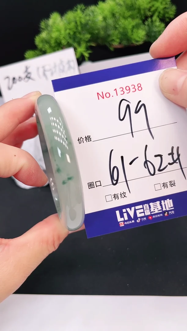 未镶嵌手镯翡翠13938