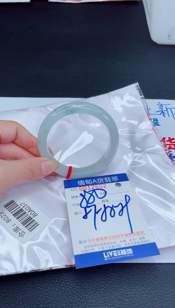 未镶嵌手镯翡翠我t1