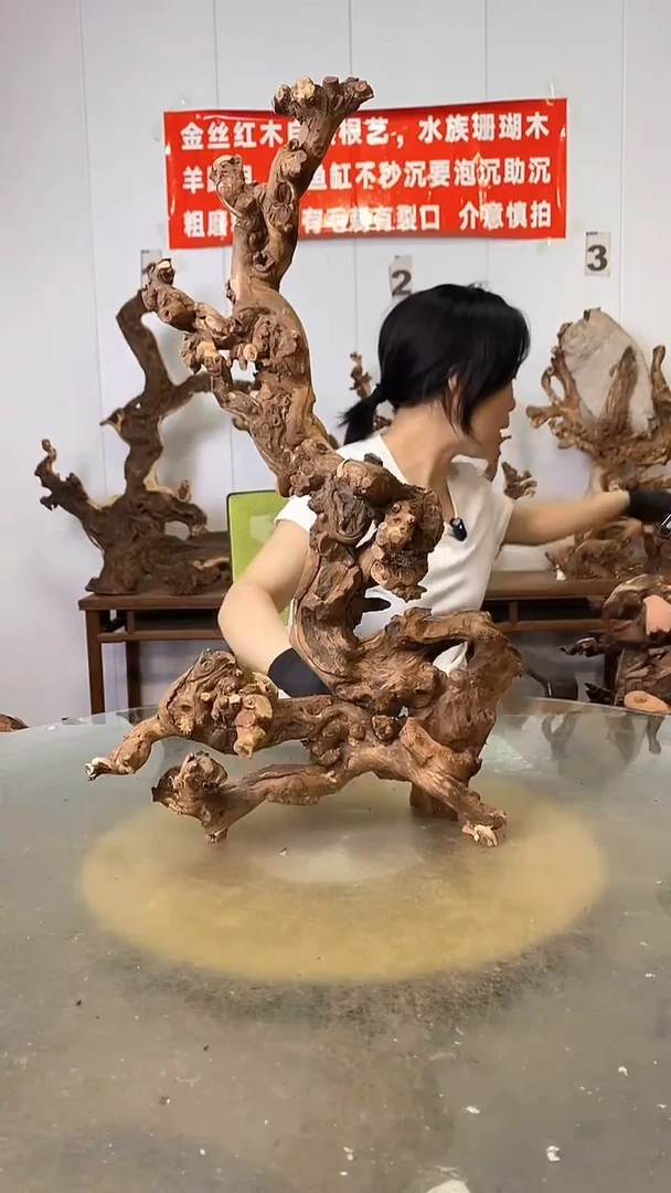 香榧木(****)金丝红木   羊蹄甲